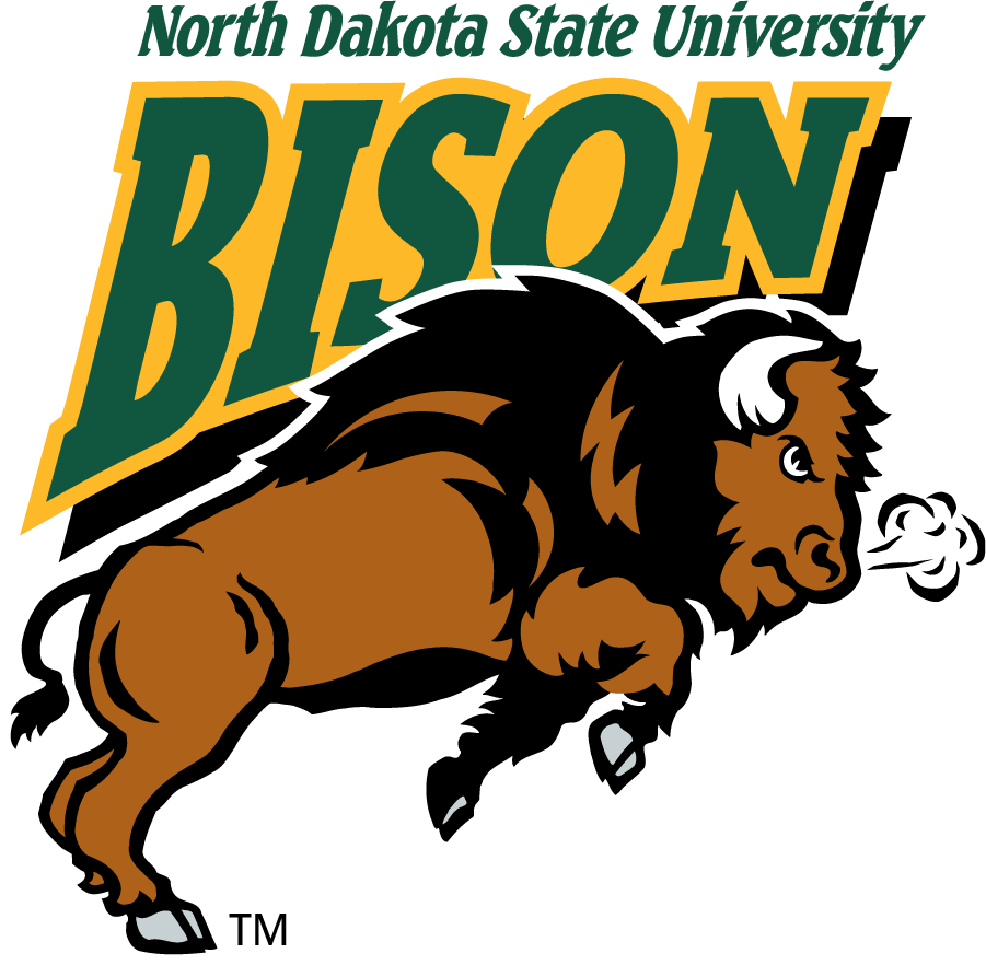 North Dakota State Bison 1999-2012 Alternate Logo v3 t shirts iron on transfers